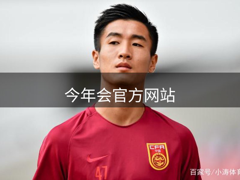 网站概况